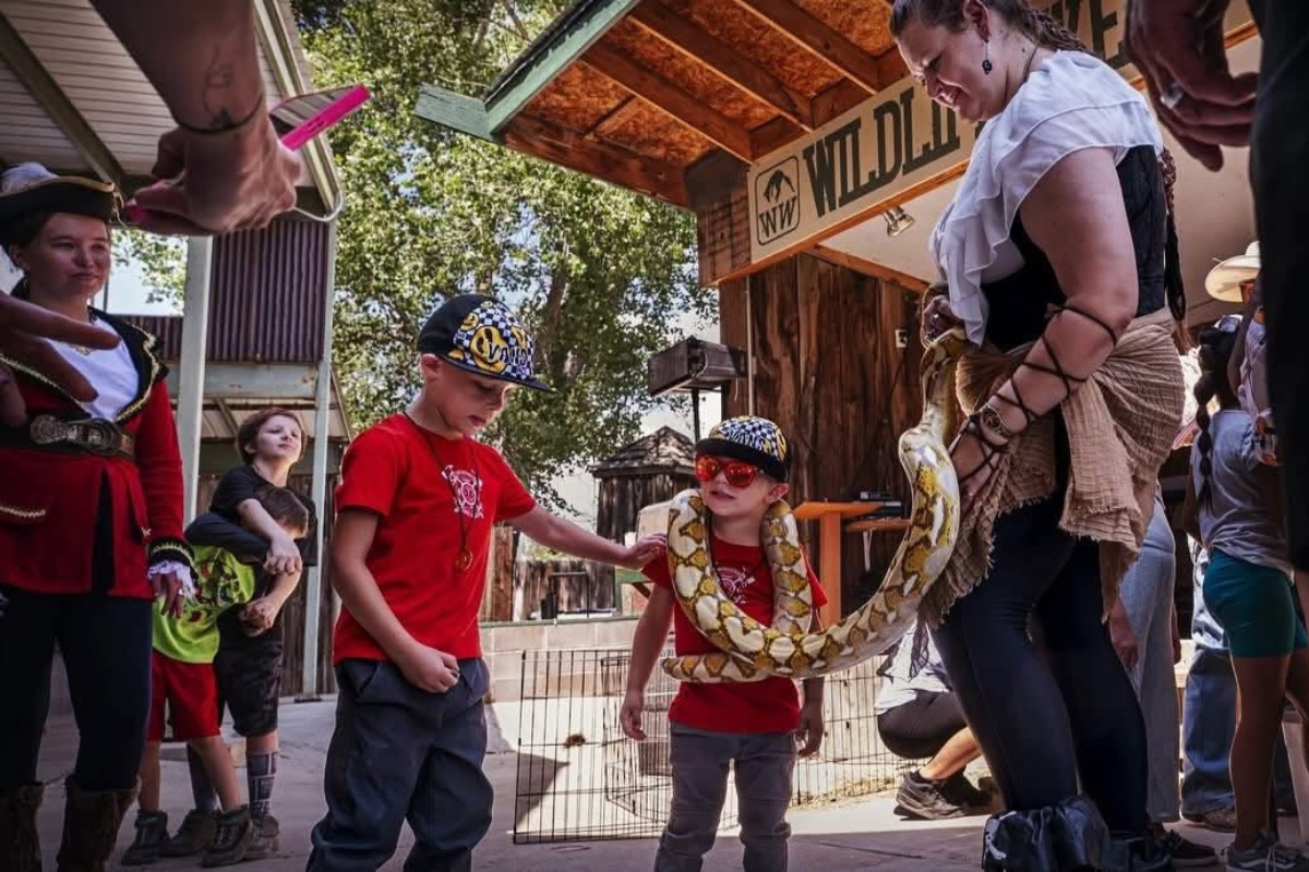 Pirates and Vikings storm Edgewood for 7th Annual Summer Festival