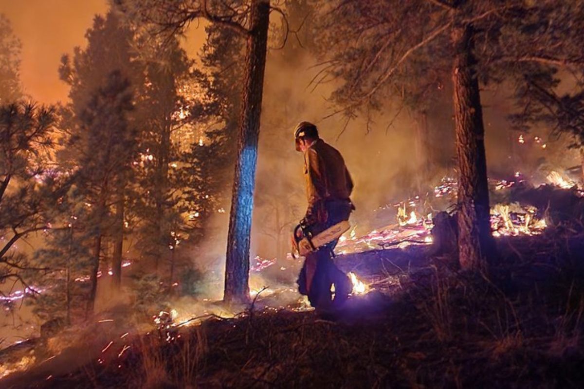 Forestry Division shares tips for wildfire prevention